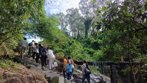 宏展包裝組織集體登山活動(dòng)
